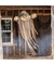 43 1/4" x 70 3/4" Light Up Hanging Skeleton Scarecrow Halloween Prop